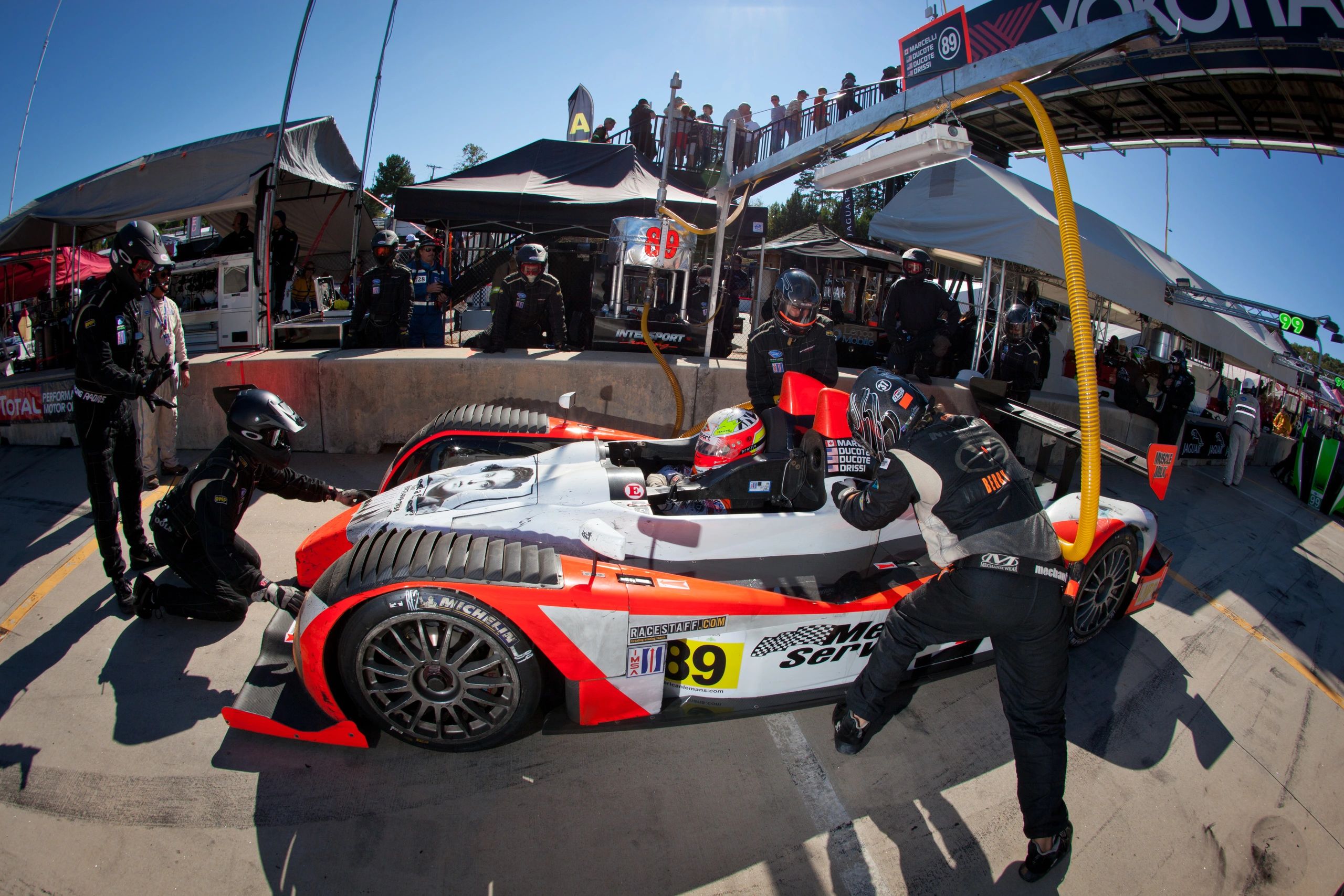 ALMS racing action